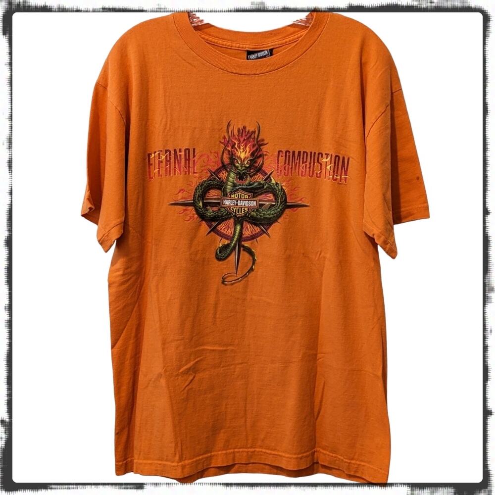 HARLEY DAVIDSON Motorcycles External Combustion Dragon Flame T-Shirt Men's L